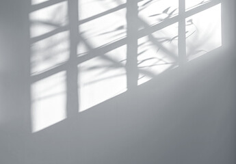 Soft shadows cast by window light reflecting on a plain surface, cut out