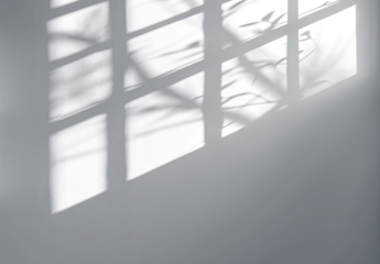 Soft shadows cast by window light reflecting on a plain surface, cut out