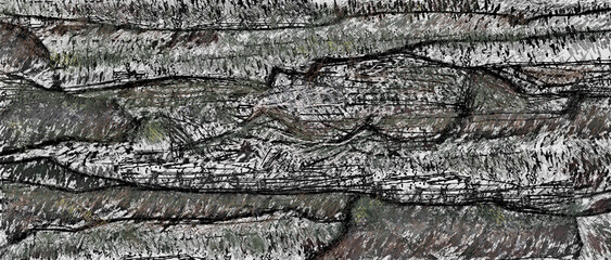 abstract forest