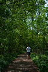 Obraz premium man walking in a forest