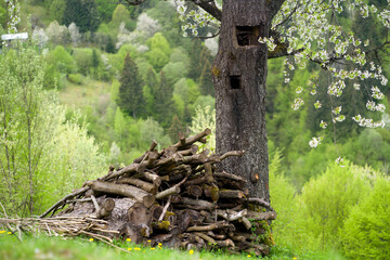 Fototapety na wymiar - Fototapeta24.pl