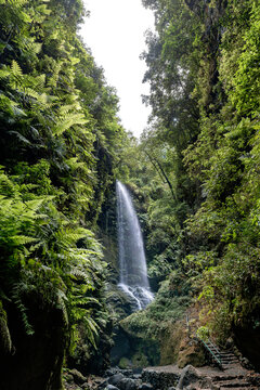 Serene Los Tilos Waterfall in La Palma, Canary Islands