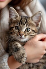 Obraz premium Girl affectionately holding a cat in her palm, showing care and love towards her pet, vertical image