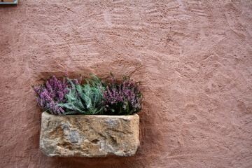 Vibrant succulent and heather arrangement in rustic stone planter on earthy wall.