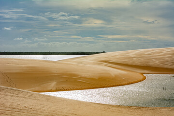 Serene oasis surrounded by golden sand dunes under a bright sky in midday light in Northeastern...