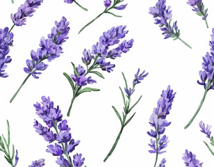 Two sprigs of lavender flowers isolated on a white background
