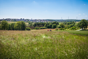 Landschaft mit Dorf Traktor Wiese und Reh