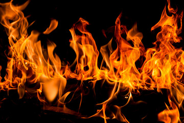 Obraz premium Fire and flames for background. Bright flames background. Texture of fire on a black background. Burning red fire. Large fire in the night.