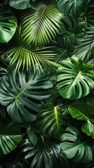 A lush green background of tropical leaves, featuring monstera and palm fronds.