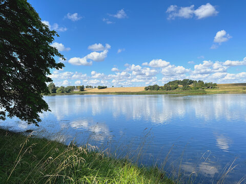 sommerliche Landschaft am Roskilde Fjord