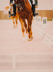 A beautiful sorrel horse, with a long tail, gallops at a dressage competition, with a rider seated firmly in the saddle, demonstrating the art of horseback riding.