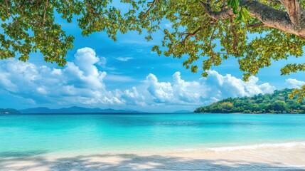 Tropical Beach Paradise