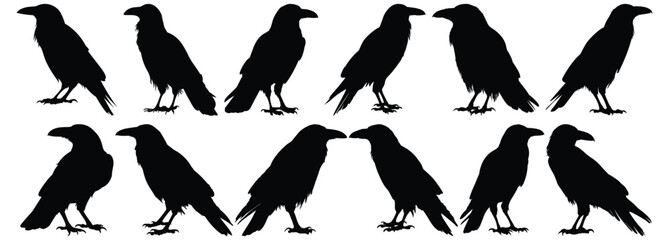 Crow silhouette set vector design big pack of bird illustration and icon