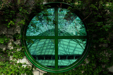 Round Window in Green Vines