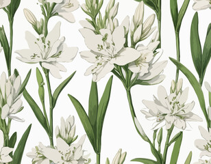 Tuberose | Redoute Flower Illustration
