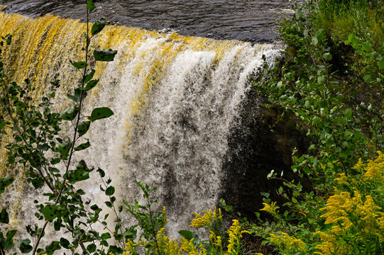 Tahquamenon Falling Water