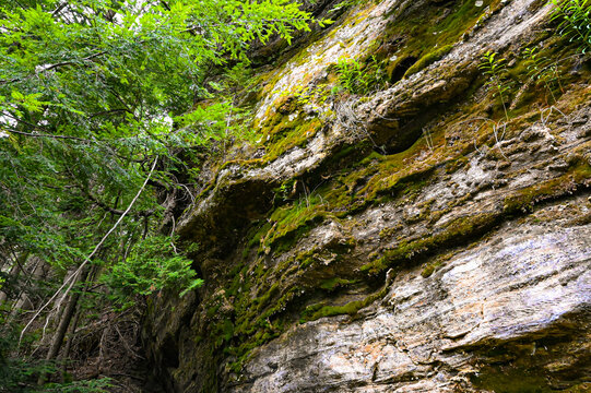 Mossy Rock Wall
