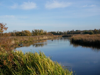 sunset on the river in the park