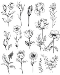 Curated Collection of Diverse Flowers with Refined Linework and Delicate Shading on Plain White Surface