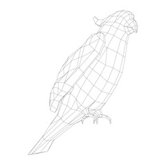 Black and white coloring page. Animals parrot icon. Vector stock illustration. Parrot macaw vector icon. Wild bird illustration.
