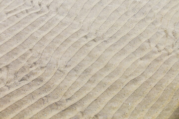 Waves on the sand caused by the ebb and flow of the sea.