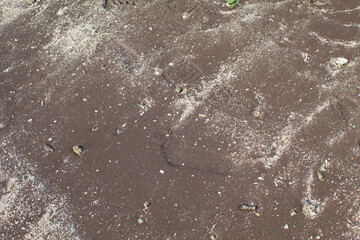 Wet Sand Beach Surface Wallpaper Texture. Grains Sandy shoreline. Abstract natural background.