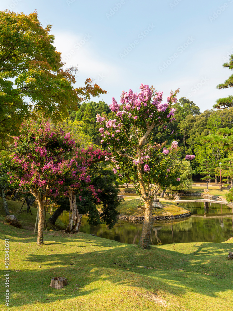 Poster 奈良公園浮雲園地の池と百日紅