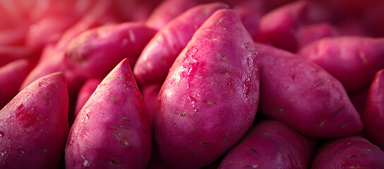 Close-up view of fresh, vibrant purple sweet potatoes arranged in a colorful display. Ideal for culinary and health-related visuals.
