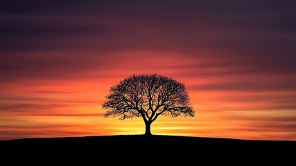 Obraz premium Sunset Over Open Land Silhouette of a Tree Against a Vibrant Sunset Sky