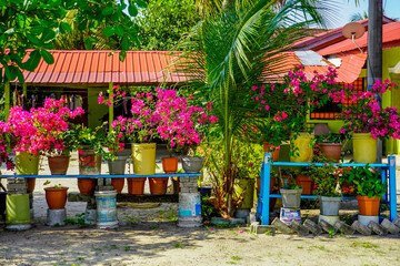 streets and houses of Langkawi island in Malaysia