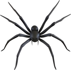 black widow spider, arachnid, halloween decoration, scary, creepy, 3d
