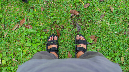 Men's feet wear outdoor black sandals stand on a grassy lawn. The green grass and brown leaves nature background. A top view of a pair of feet wearing sandals on green grass.