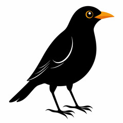 Vector hand-drawn Myna silhouette black illustration