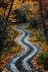 Fototapeta premium A winding road surrounded by vibrant autumn foliage, evoking a sense of adventure and tranquility in nature's beauty.