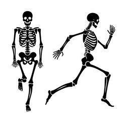 skeleton silhouette, Halloween.