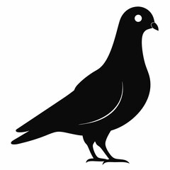 Pigeon isolated on white, Pigeon vector illustration, bird on a branch vector art, Pigeon silhouette, bird vector icon, Pigeon on a branch vector, eps