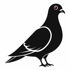 Pigeon isolated on white, Pigeon vector illustration, bird on a branch vector art, Pigeon silhouette, bird vector icon, Pigeon on a branch vector, eps