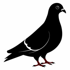 Pigeon isolated on white, Pigeon vector illustration, bird on a branch vector art, Pigeon silhouette, bird vector icon, Pigeon on a branch vector, eps