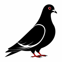 Pigeon isolated on white, Pigeon vector illustration, bird on a branch vector art, Pigeon silhouette, bird vector icon, Pigeon on a branch vector, eps