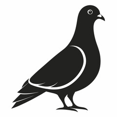 Pigeon isolated on white, Pigeon vector illustration, bird on a branch vector art, Pigeon silhouette, bird vector icon, Pigeon on a branch vector, eps