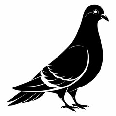 Pigeon isolated on white, Pigeon vector illustration, bird on a branch vector art, Pigeon silhouette, bird vector icon, Pigeon on a branch vector, eps