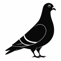 Pigeon isolated on white, Pigeon vector illustration, bird on a branch vector art, Pigeon silhouette, bird vector icon, Pigeon on a branch vector, eps