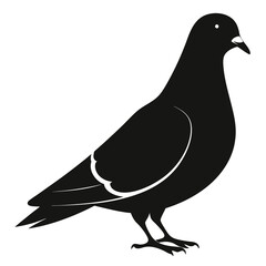 Pigeon isolated on white, Pigeon vector illustration, bird on a branch vector art, Pigeon silhouette, bird vector icon, Pigeon on a branch vector, eps