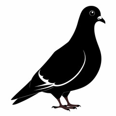 Pigeon isolated on white, Pigeon vector illustration, bird on a branch vector art, Pigeon silhouette, bird vector icon, Pigeon on a branch vector, eps