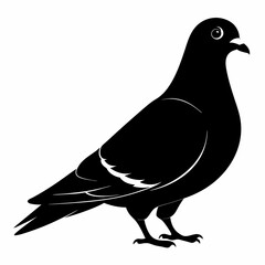 Pigeon isolated on white, Pigeon vector illustration, bird on a branch vector art, Pigeon silhouette, bird vector icon, Pigeon on a branch vector, eps