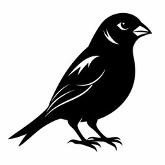 Sparrow isolated on white, sparrow vector illustration, bird on a branch vector art, sparrow silhouette, bird vector icon, sparrow on a branch vector, eps