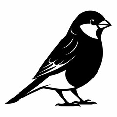 Sparrow isolated on white, sparrow vector illustration, bird on a branch vector art, sparrow silhouette, bird vector icon, sparrow on a branch vector, eps