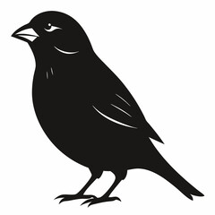 Sparrow isolated on white, sparrow vector illustration, bird on a branch vector art, sparrow silhouette, bird vector icon, sparrow on a branch vector, eps