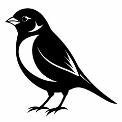 Sparrow isolated on white, sparrow vector illustration, bird on a branch vector art, sparrow silhouette, bird vector icon, sparrow on a branch vector, eps