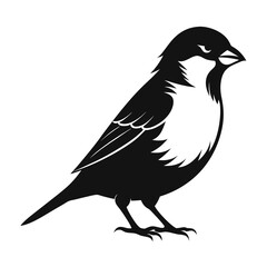 Sparrow isolated on white, sparrow vector illustration, bird on a branch vector art, sparrow silhouette, bird vector icon, sparrow on a branch vector, eps